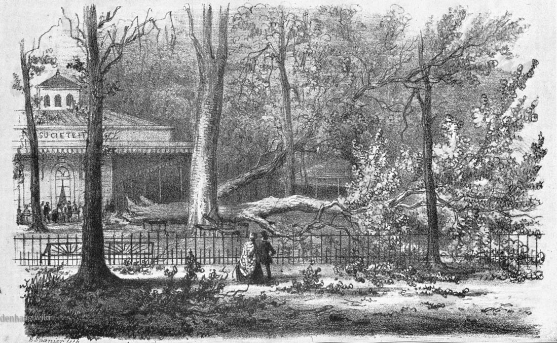 Op 28 mei 1860 velde een pinksterstorm een grote boom, die boven op de nieuwe muziektent viel.