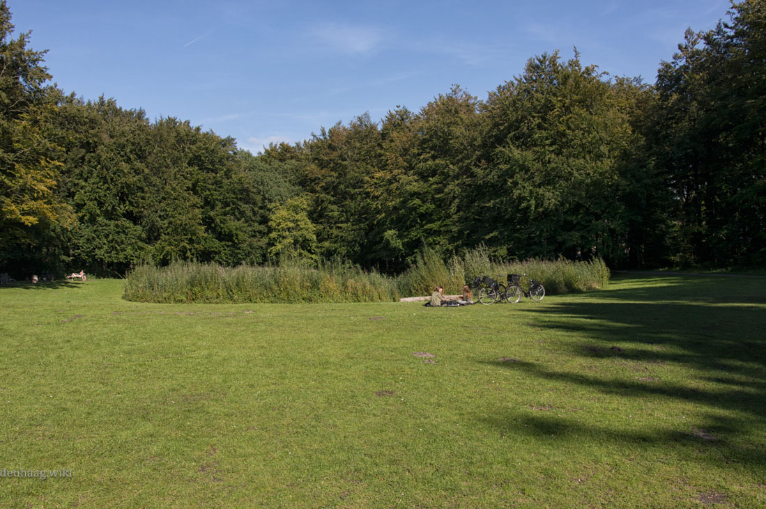 De Walther Boerweide in september 2015. Achter het hoge riet-gras ligt nog steeds de vijver.
