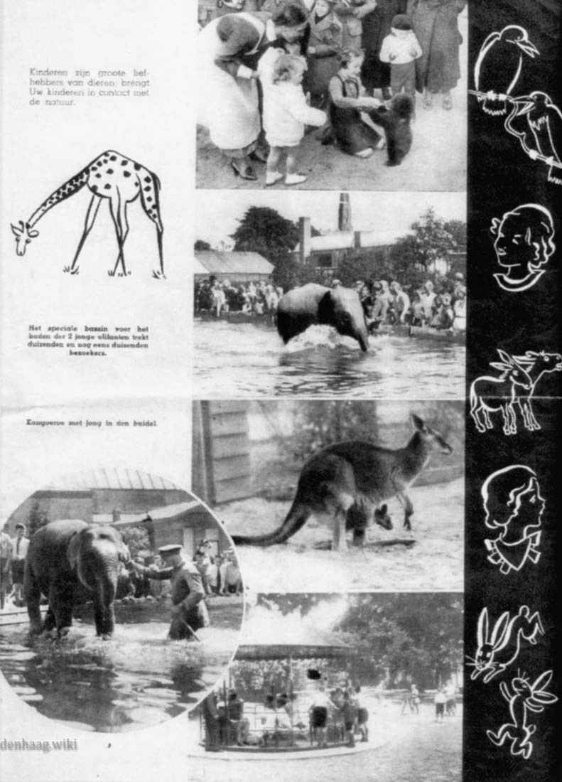 In deze brochure uit 1939 werden, net zoals nu, kleine kinderen en jonge dieren getoond.